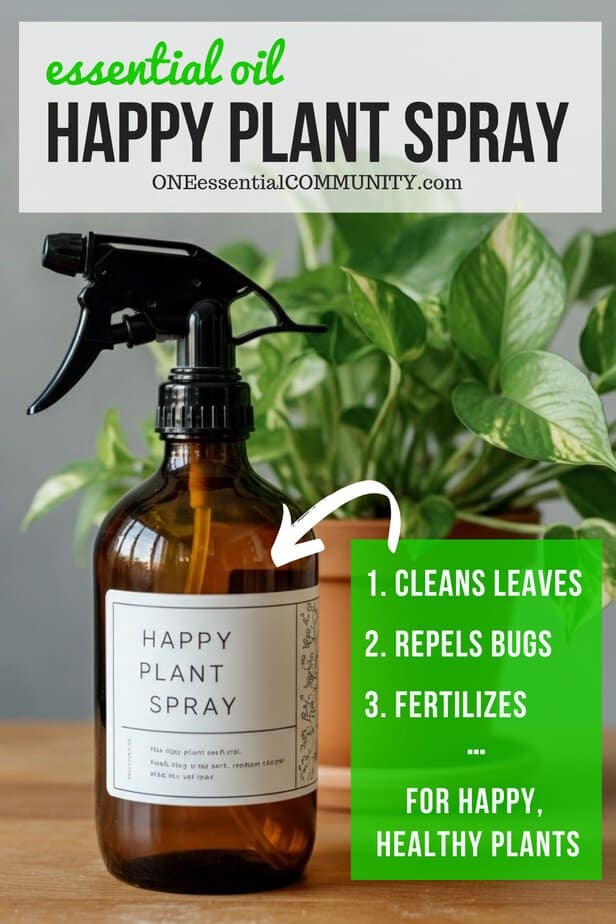 says "Essential Oil Happy Plant Spray by oneessentialcommunity.com that 1. cleans leaves, 2. repels bugs, and 3. fertilizes for happy, healthy plants." plant next to amber glass spray bottle