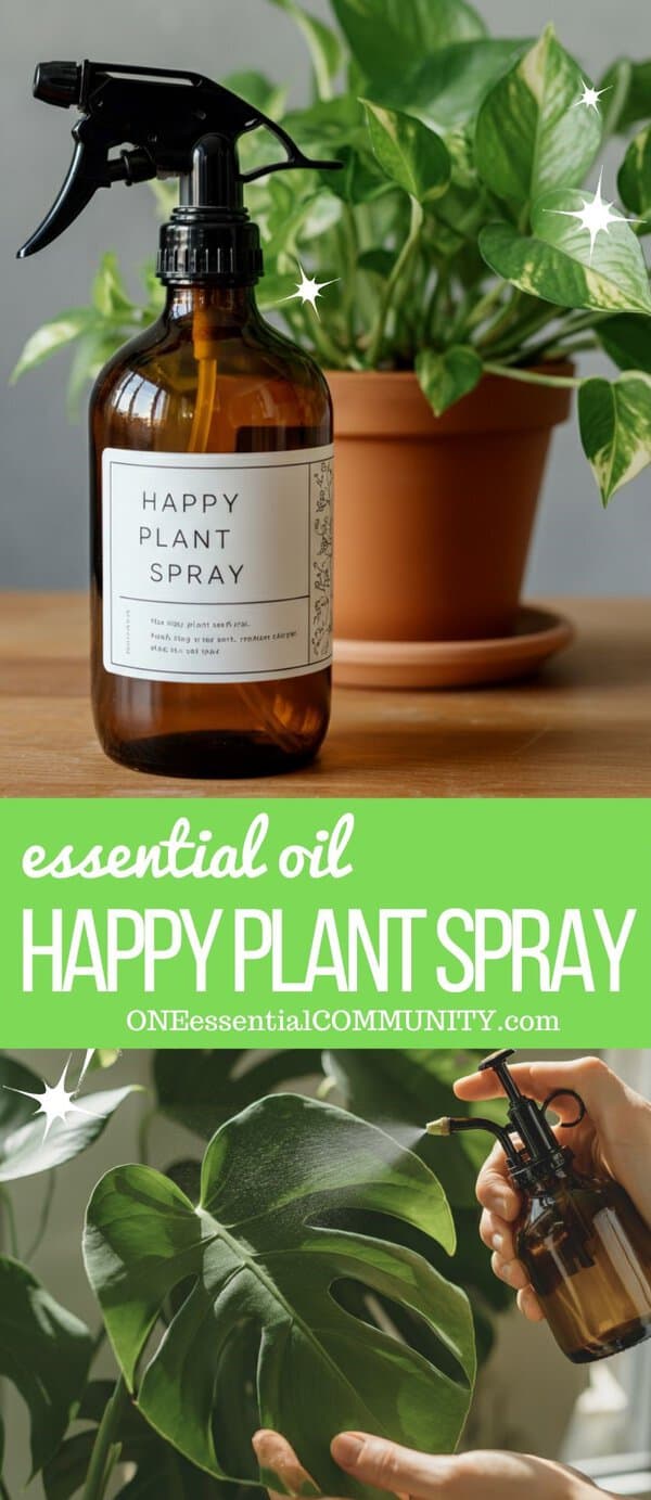 says "Essential Oil Happy Plant Spray by oneessentialcommunity.com" plant next to amber glass spray bottle and then hands spraying Happy Plant Spray on monstera leaf