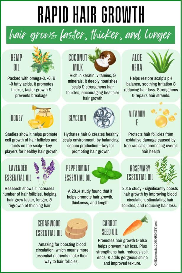 best ingredients for natural shampoo for rapid hair growth -- hemp oil, coconut milk, aloe vera, honey, glycerin, vitamin e, lavender essential oil, peppermint essential oil, rosemary essential oil, cedarwood essential oil, and carrot seed oil. by oneessentialcommunity.com