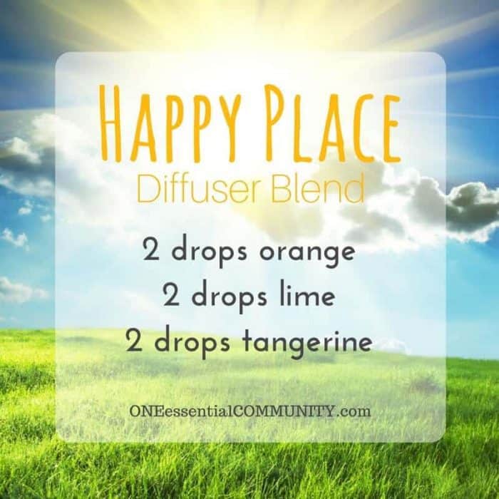 Have frayed nerves? Need to chill out? Want to ditch the witch? Find your zen? Try these calming essential oil diffuser blends to beat stress
