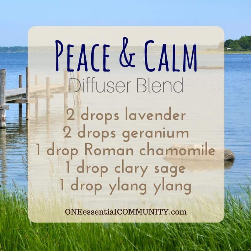 Calming Diffuser Blends For Stress - One Essential Community