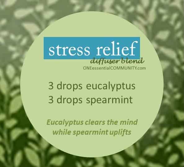 Kết quả hình ảnh cho Stress Relief eucalyptus spearmint