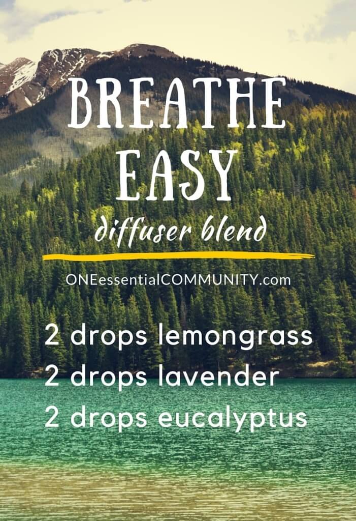 15 Best Spring Diffuser Blends for Essential Oils plus a free printable of all the recipes- includes favorite recipes like Breathe Easy, Chill Out, Motivation, Mojito, Citrus Fresh, Stress Relief, Fresh & Clean, Springtime, Lemon Fresh, and more!