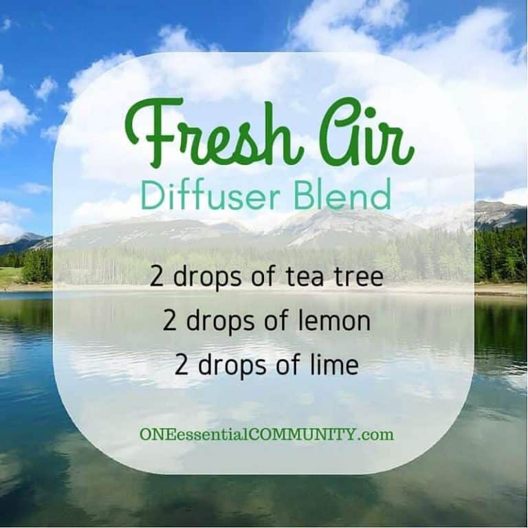 25+ of the Best Summer Essential Oil Diffuser Recipes {with FREE