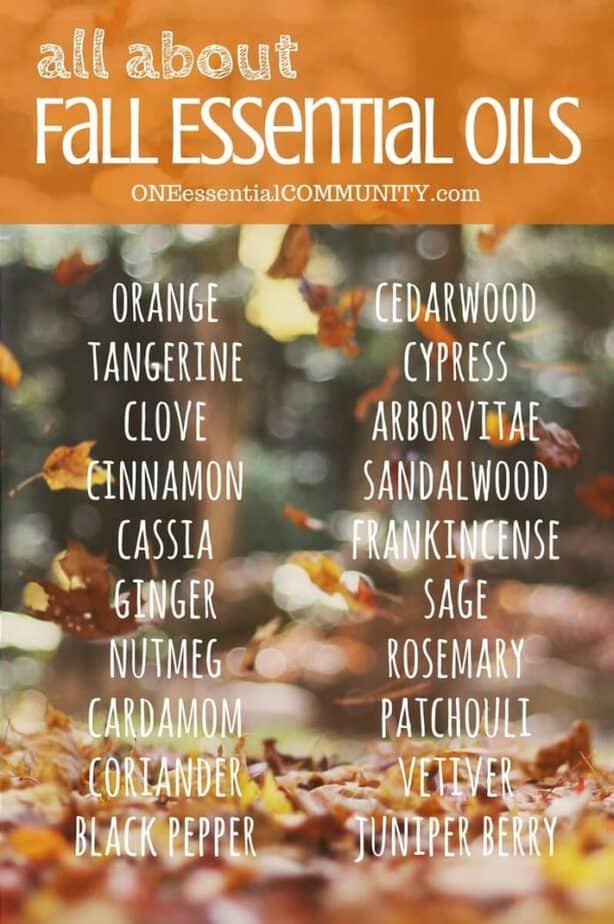 all about fall essential oils - orange, tangerine, clove, cinnamon, cassia, ginger, nutmeg, cardamom, coriander, black pepper, cedarwood, cypress, arborvitae, sandalwood, frankincense, sage, rosemary, patchouli, vetiver, juniper berry