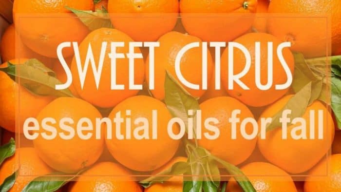 sweet citrus essential oils for fall