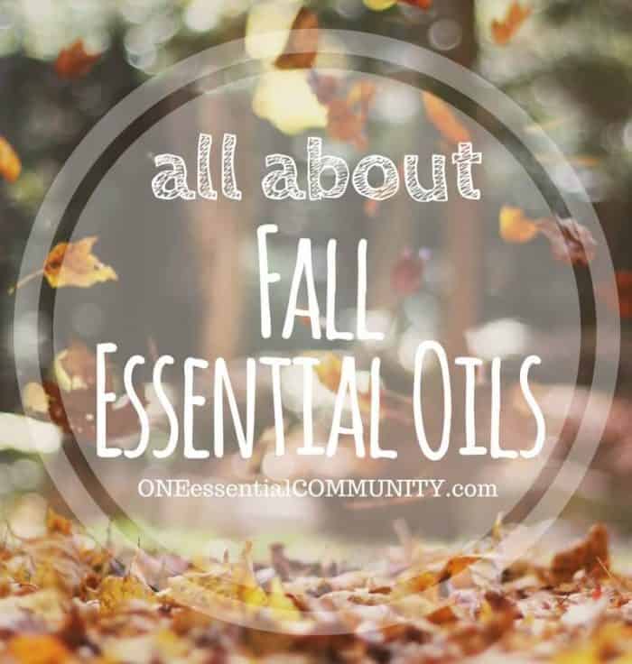 All about Fall Essential Oils One Essential Community
