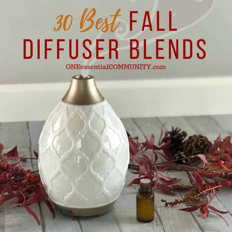 30 Best Fall Essential Oil Diffuser Blends {free Printable} - One ...