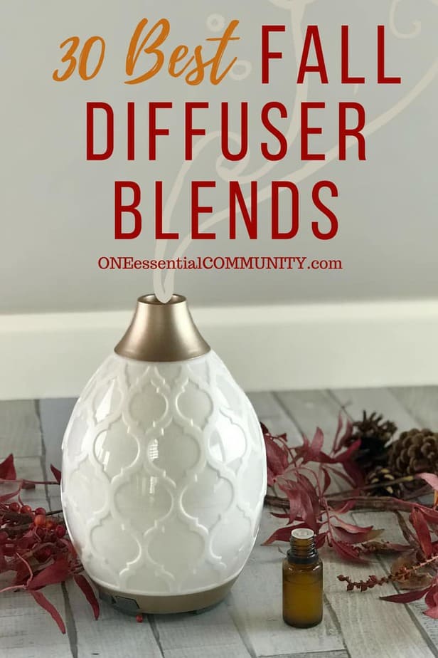 30 best FALL essential oil diffuser blend recipes - pumpkin pie, flannel, sweater weather, spiced chai, apple pie, pumpkin spice, immune booster, harvest, crisp autumn, and many more! plus a free printable of all the recipes {essential oil recipes, essential oil uses, fall diffuser blends doTERRA, Young Living, free printable diffuser recipes}