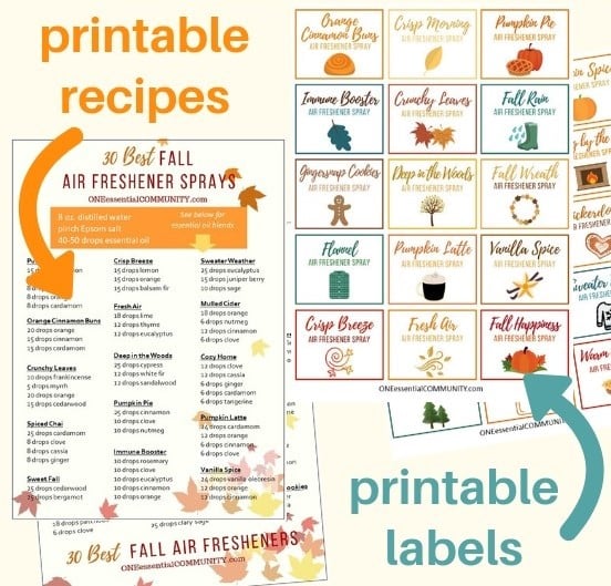 30 fall room spray recipes with essential oils. Easy to make all-natural homemade air freshener sprays in about 30 seconds. recipes for pumpkin pie, apple orchard, gingersnap cookies, vanilla spice, mulled cider, crisp breeze, orange cinnamon buns, spiced chai, sweater weather, fall rain, flannel, immune booster, warm apple pie, and many more. essential oil room spray, DIY air freshener, essential oil recipes, essential oil DIY, homemade room spray, fall DIY, #essentialoilrecipe #essentialoilDIY #doterra #youngliving