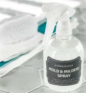spray bottle of mold & mildew cleaner on shower floor