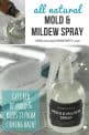 Anti-Mold & Mildew Spray - One Essential Community