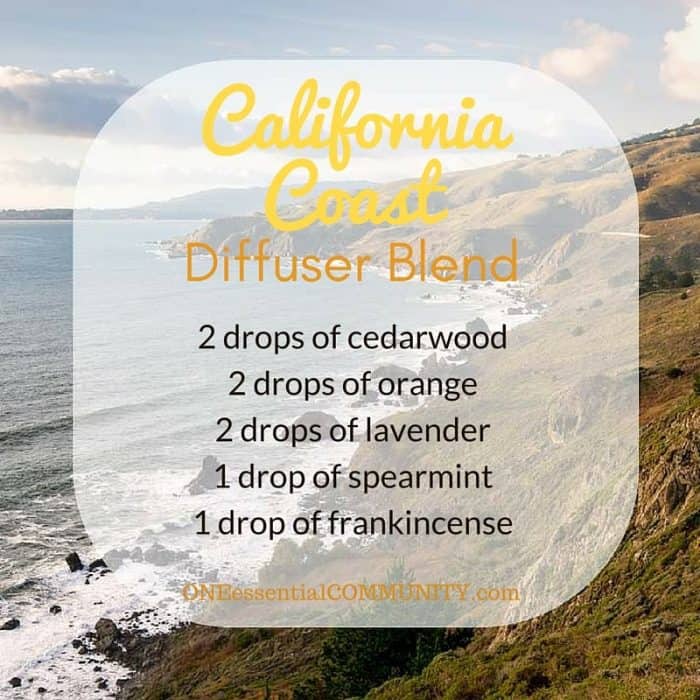 40 favorite essential oil recipes for summer - homemade sunscreen, after-sun spray, cooling spray, DIY deodorant, diffuser blends, summer room sprays, rollerball recipes, bug spray, essential oils for travel, and more. Lots of easy summer essential oil recipes with step-by-step instructions and free printables. #essentialoilrecipes #essentialoilDIY #essentialoildiffuser #essentialoiluses #essentialoils #DIYbeauty #naturalremedies