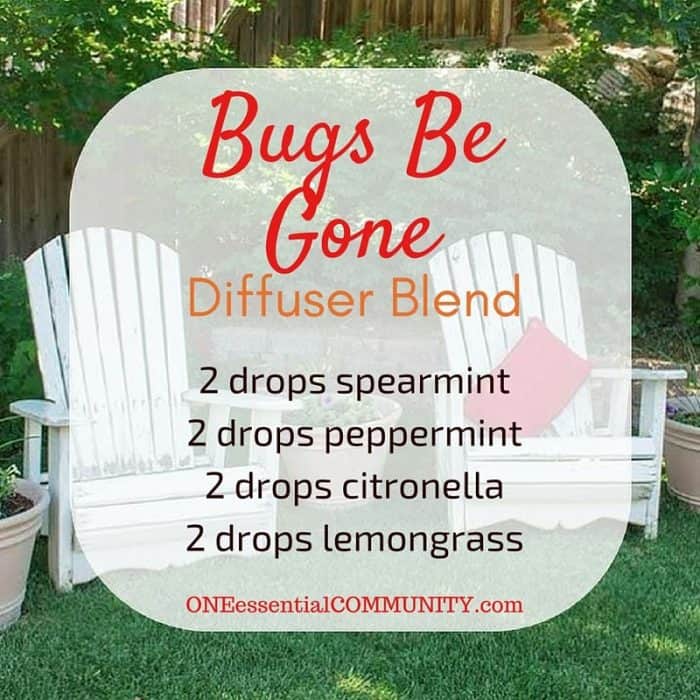 40 favorite essential oil recipes for summer - homemade sunscreen, after-sun spray, cooling spray, DIY deodorant, diffuser blends, summer room sprays, rollerball recipes, bug spray, essential oils for travel, and more. Lots of easy summer essential oil recipes with step-by-step instructions and free printables. #essentialoilrecipes #essentialoilDIY #essentialoildiffuser #essentialoiluses #essentialoils #DIYbeauty #naturalremedies