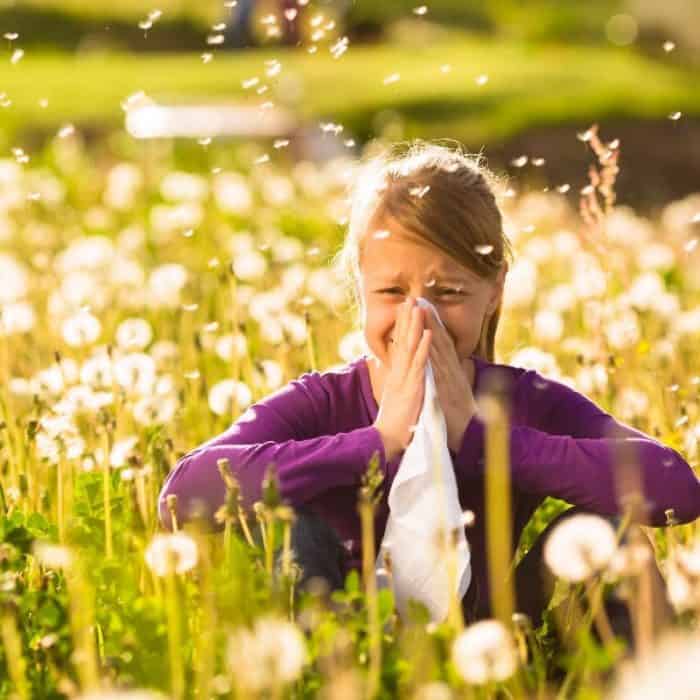 girl in dandelion field suffering from seasonal allergies