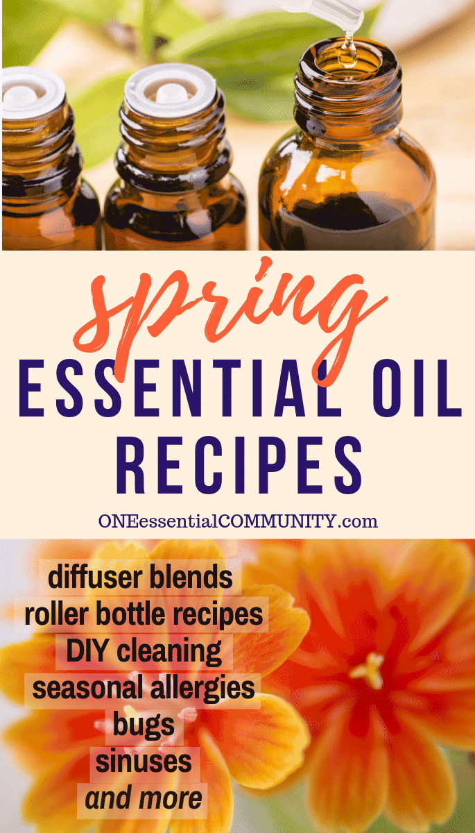 50 Spring Essential Oil Recipes (spring diffuser blends, roller bottle recipes, DIY cleaning, seasonal allergies, sinus headache remedy, bug sprays. homemade air fresheners, and more} #doTERRA #YoungLiving #yl #essentialoils #DIY #natural #DIYcleaning