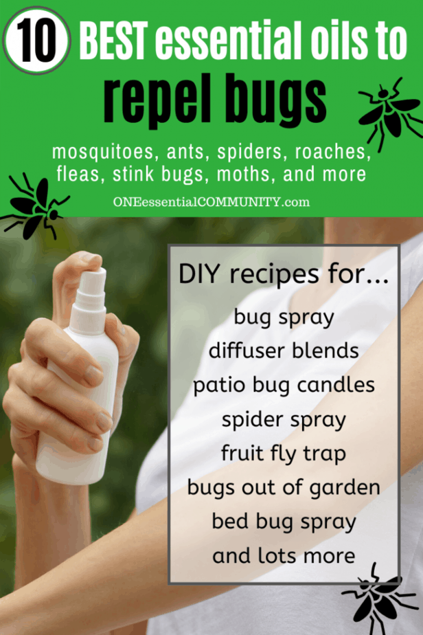 spraying homemade insect repellent on arm -- 10 best essential oils to repel bugs with DIY recipes for bug spray, diffuser blends, patio bug candles, spider spray, fruit fly trap. ...}