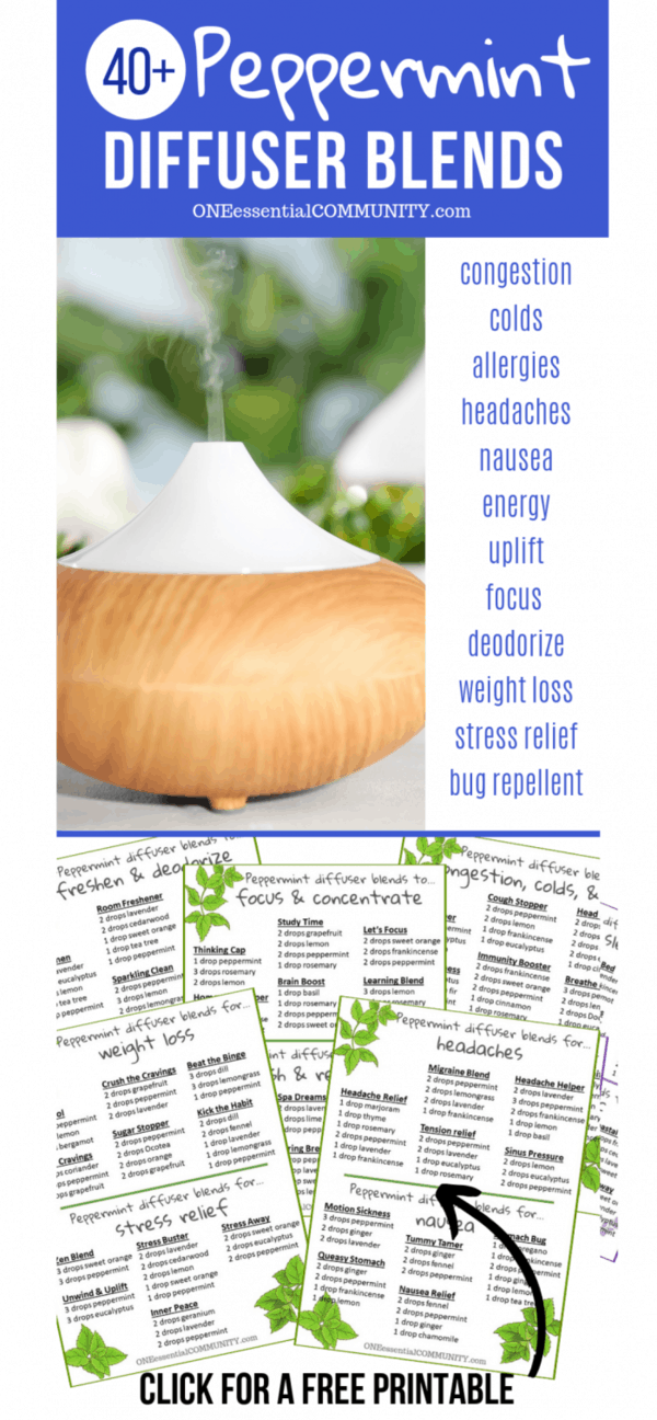 40+ peppermint essential oil diffuser blend recipes for congestion, colds, allergies, headache, nausea, energy, uplift, focus, weight loss, stress, and bug repellent -- click for free printable of all the recipes