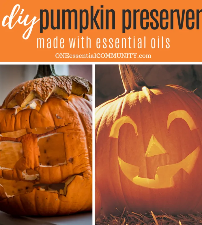 rotten jack o lantern on the left, preserved jack o lantern pumpkin on the right after using essential oil pumpkin preserver spray