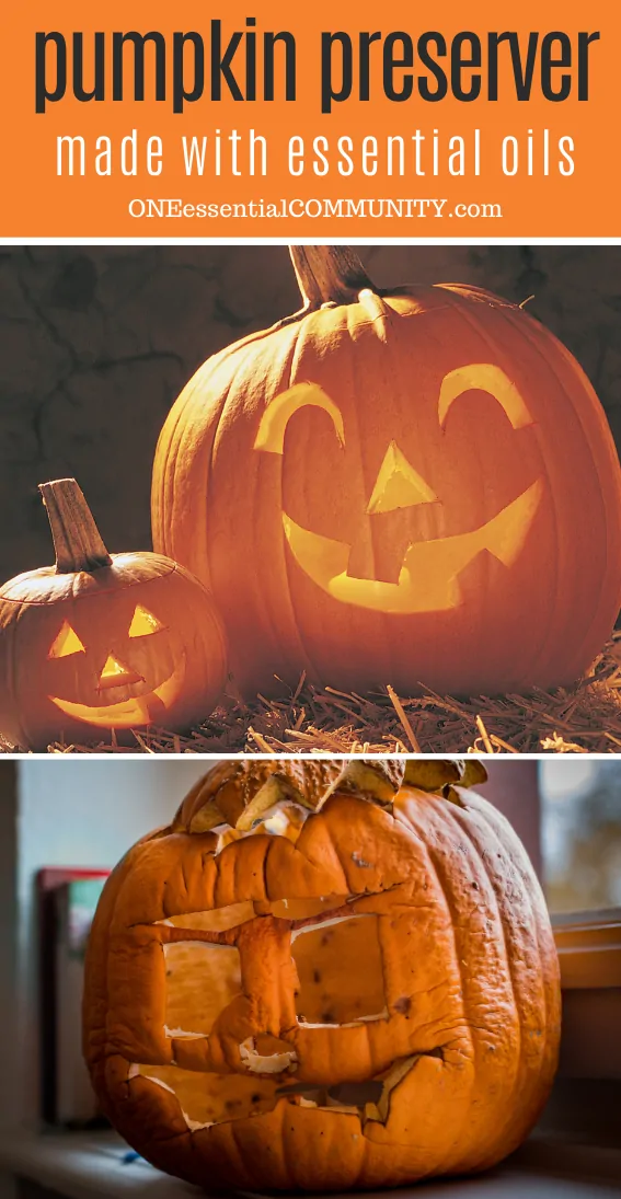 rotten jack o lantern on the top, preserved jack o lantern pumpkin on the bottom after using essential oil pumpkin preserver spray