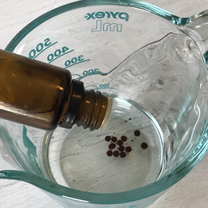 adding vanilla oleoresin to coconut oil in glass measuring cup
