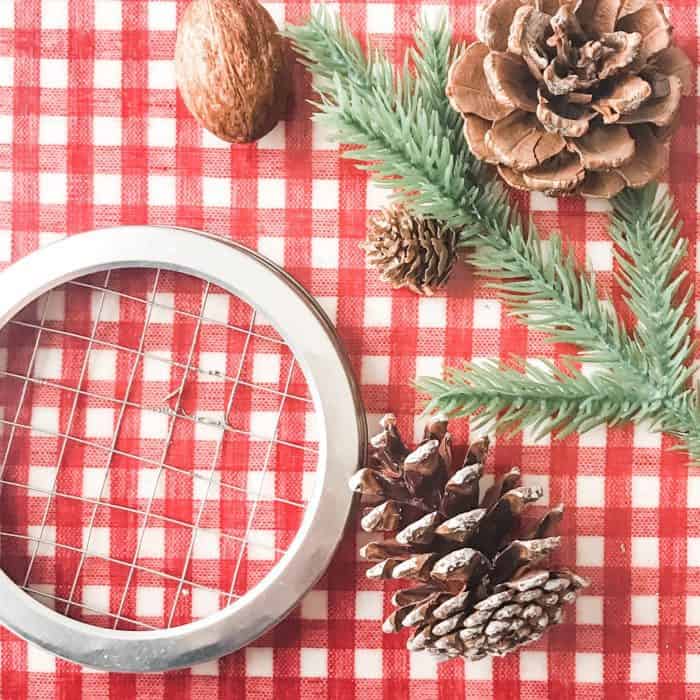 supplies to make holiday essential oil diffuser 