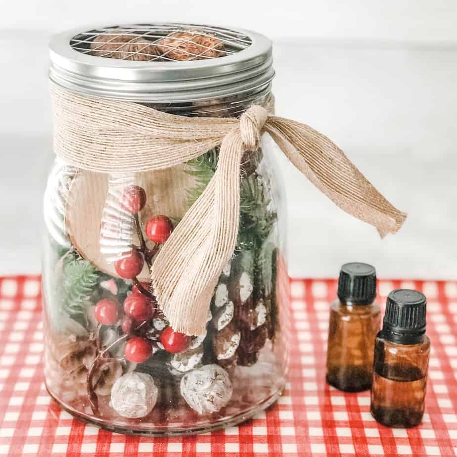 Christmas Potpourri Diffuser One Essential Community