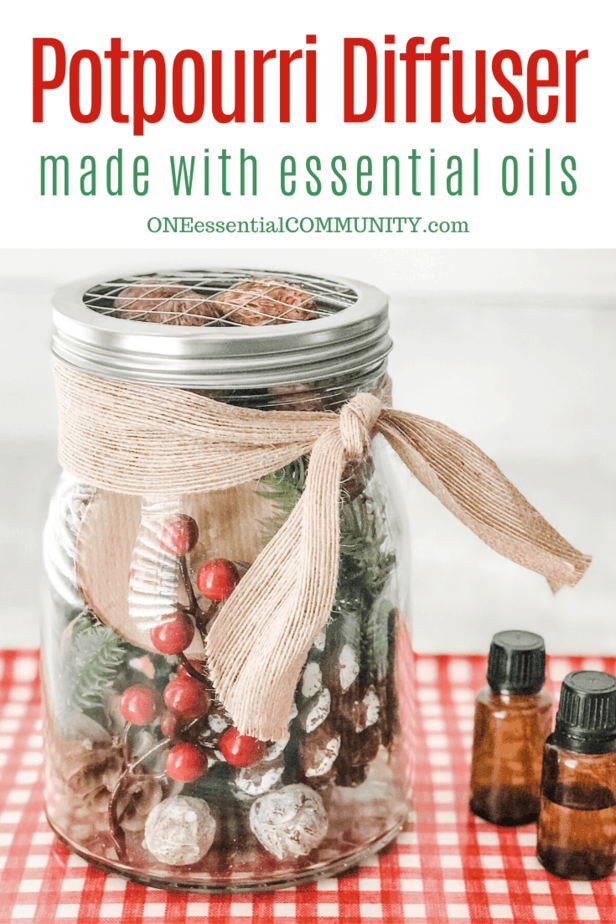 Christmas Potpourri Diffuser One Essential Community