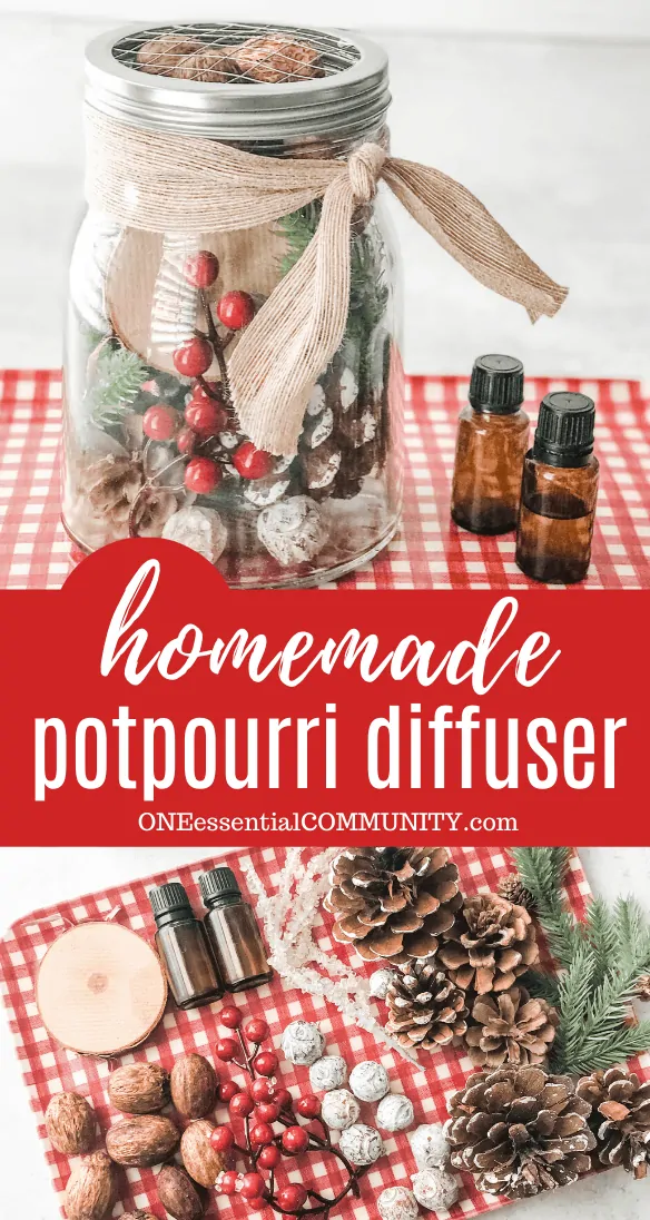 pinterest image of homemade potpourri diffuser for CHristmas