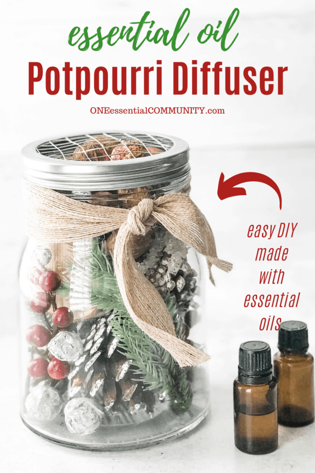Christmas Potpourri Diffuser One Essential Community