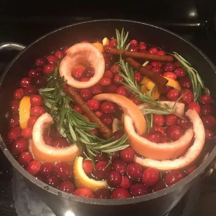 cranberries, orange peels, cinnamon sticks, greenery in stockpot with warm water used to make aromatic scent in home