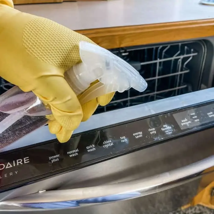 using homemade Lysol disinfecting spray to clean dishwasher control panel and door