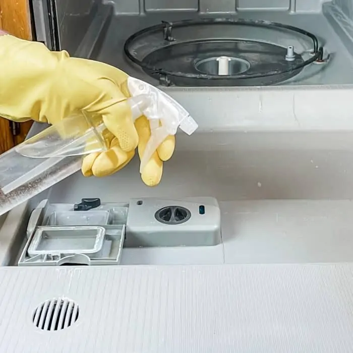 using DIY Lysol spray to clean inside of dishwasher door