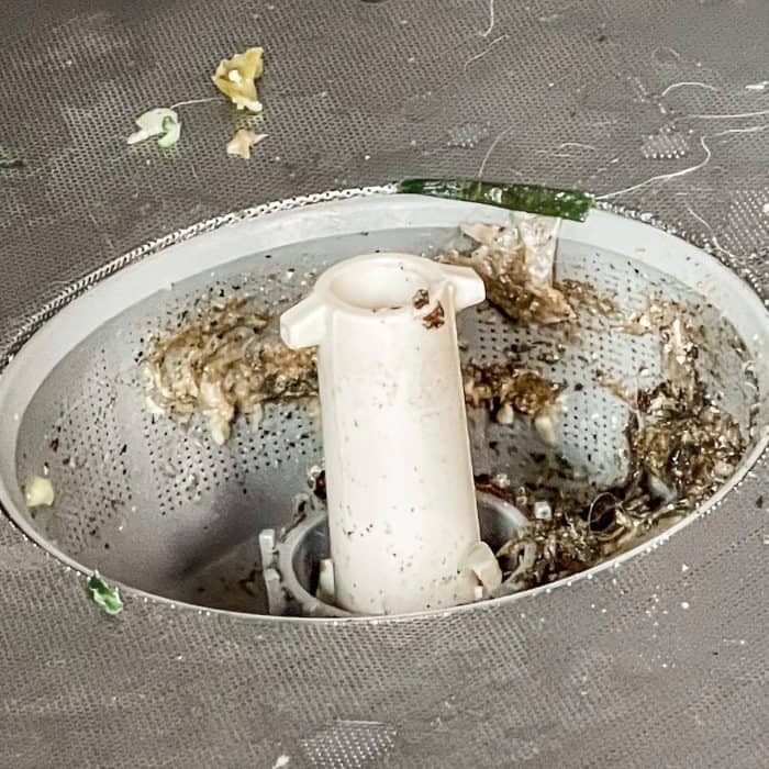 the food bits and gunk that's trapped in dishwasher filter -- this needs to be cleaned out regularly so dishwasher runs properly