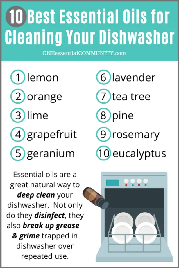 10 best essential oils for cleaning your dishwasher (lemon, orange, lime, grapefruit, geranium, lavender, tea tree, pine, rosemary, eucalyptus)