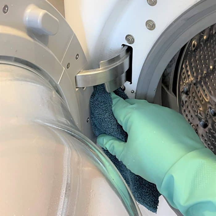 cleaning the washing machine door hinge