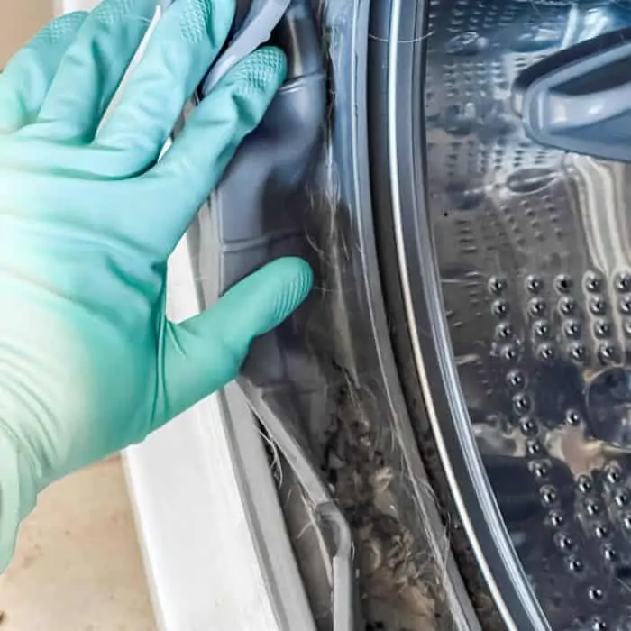 mold and dirt trapped in washing machine gasket of front loader high efficiency washing machine