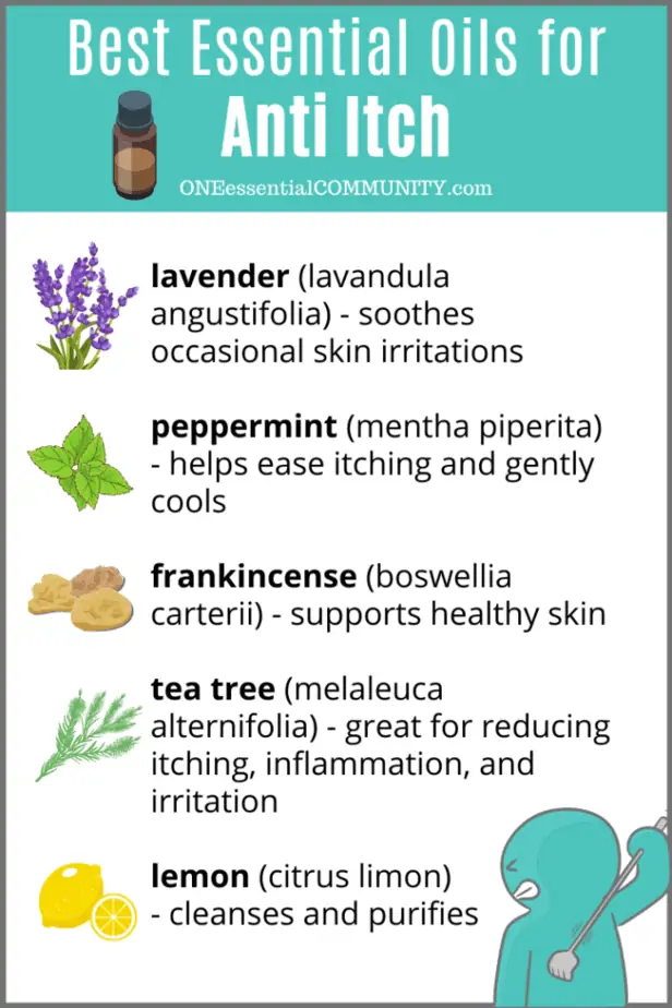 best essential oil for anti itch -- lavender, peppermint, frankincense, tea tree, lemon