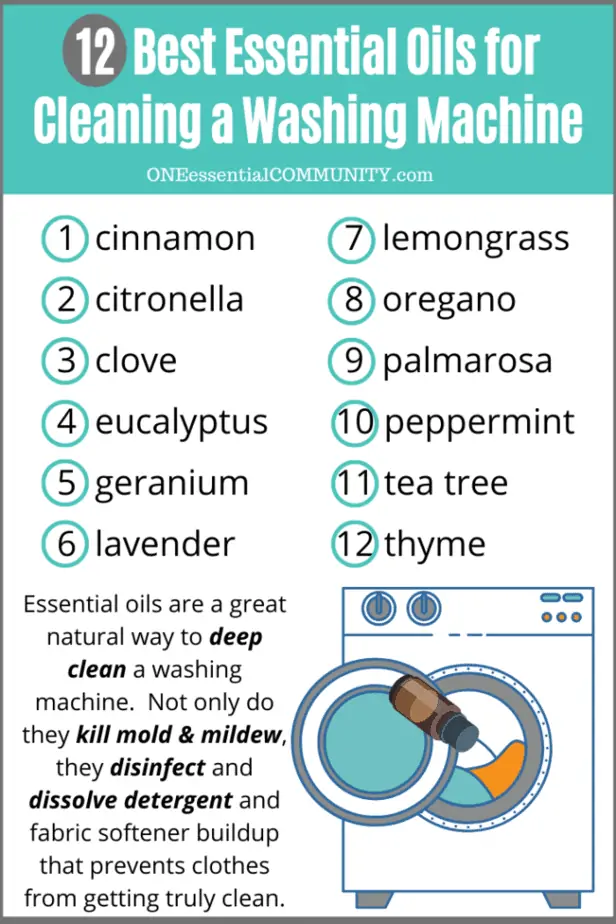 12 best essential oils for cleaning washing machine- cinnamon, citronella, clove, eucalyptus, geranium, lavender, lemongrass, oregano, palmarosa, peppermint, tea tree, thyme -- Essential oils are a great natural way to deep clean a washing machine. not only do they kill mold & mildew, they disinfect and dissolve detergent and fabric softener buildup that prevents clothes from getting truly clean.