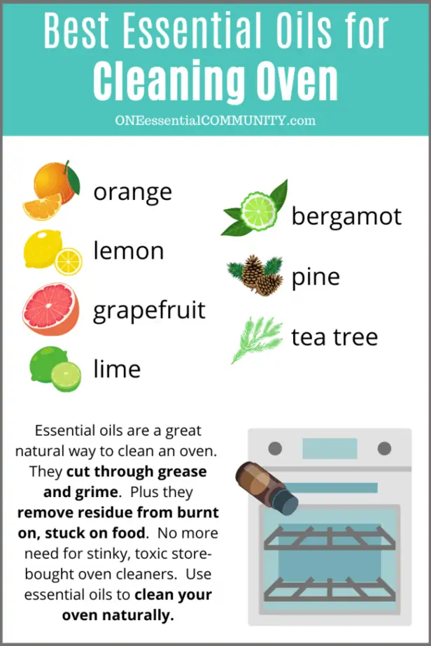 best essential oils for cleaning oven -- orange, lemon, grapefruit, lime, bergamot, pine, and tea tree. Essential oils are great natural wat to clean an oven. They cut through grease and grime. plus they remove residue from burnt on, stuck on food. No more need for stinky, toxic store-bought oven cleaners. Use essential oils to clean your oven naturally.