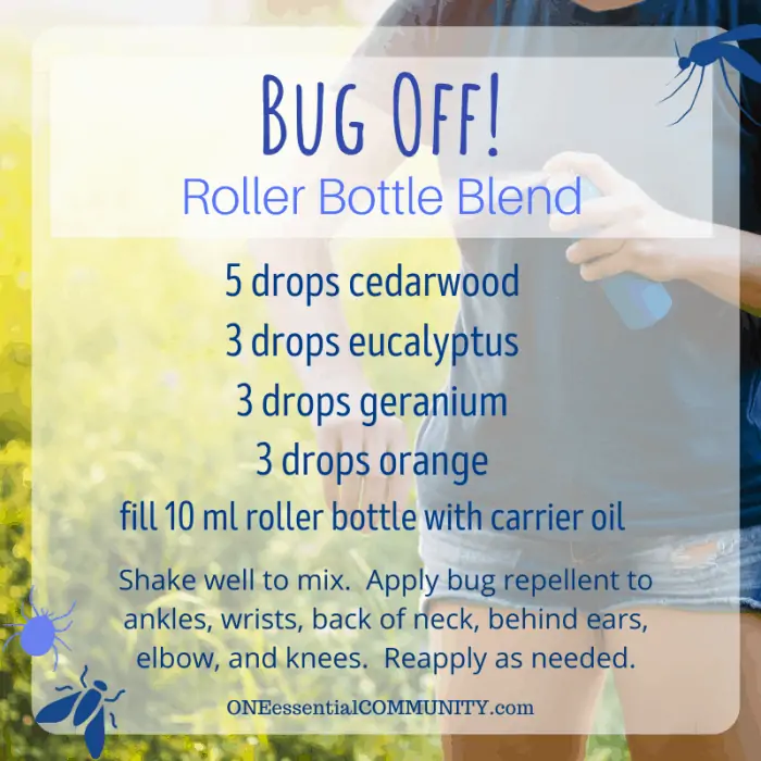 Bug Off! roller bottle blend by oneessentialcommunity.com -- 5 drops cedarwood, 3 drops eucalyptus, 3 drops geranium, and 3 drops orange essential oil, then fill 10ml roller bottle with carrier oil. shake well to mix. apply bug repellent to ankles, wrists, back of neck, behind ears, elbows, and knees. reapply as needed.