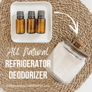 All natural refrigerator deodorizer by oneessentialcommunity.com -- 3 essential oil bottles and glass canister/jar filled with DIY odor eliminator on woven placemat