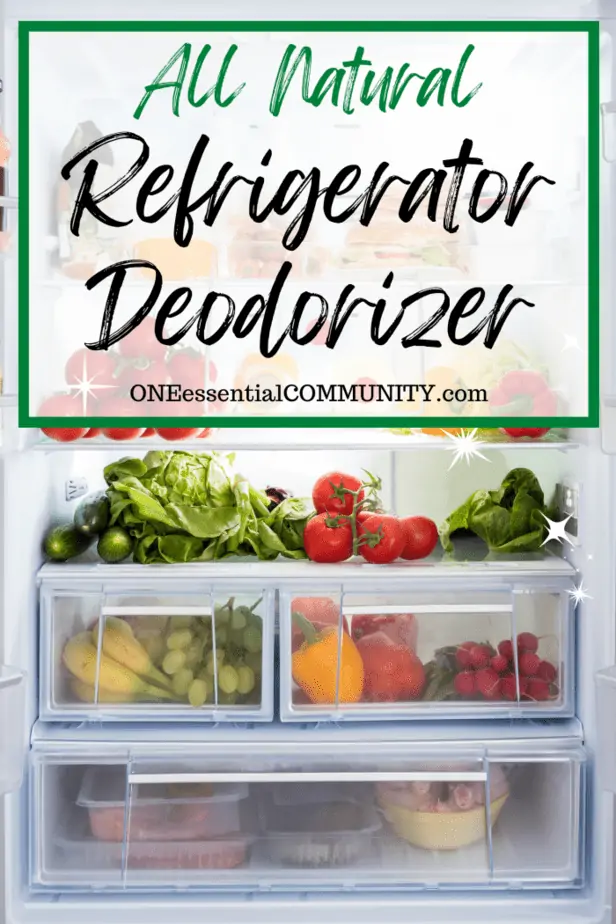 All natural refrigerator deodorizer by oneessentialcommunity -- inside of refrigerator