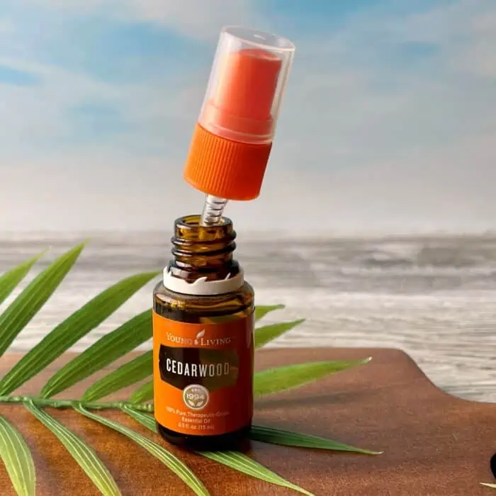 adding spray top to 15ml bottle of Young Living cedarwood essential oil to turn it into homemade bug spray in convenient travel size