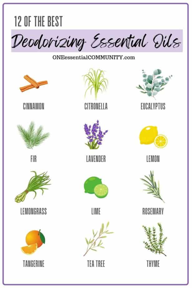 12 of the best deodorizing essential oils by oneessentialcommunity.com -- cinnamon, citronella, eucalyptus, fir, lavender, lemon, lemongrasss, lime, rosemary, tangerine, tea tree, and thyme