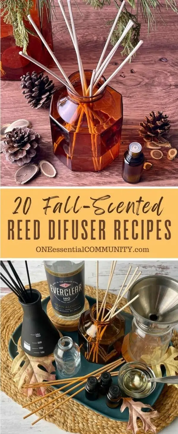 20 fall-scented reed diffuser recipes by oneessentialcommunity.com -- essential oil bottle, pinecones, and wood slices around amber glass reed diffuser -- bottom image is supplies for DIY reed diffuser (essential oil, Everclear, apricot kernel oil, reed sticks, funnel, mason jar, and narrow-neck vase)