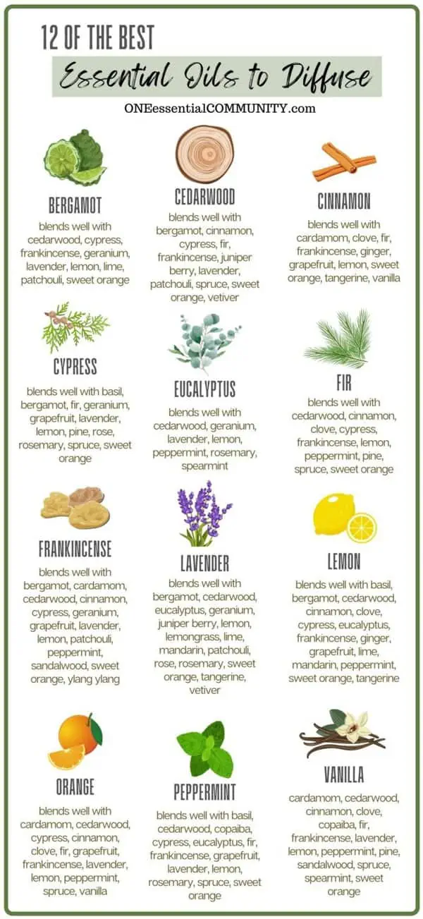 12 of the best essential oils to diffuse by oneessentialcommunity.com -- bergamot, cedarwood, cinnamon, cypress, eucalyptus, fir, frankincense, lavender, lemon, orange, peppermint, vanilla -- see blog post for details of what each smells like, its therapeutic uses, and what other essential oils it blends well with 
